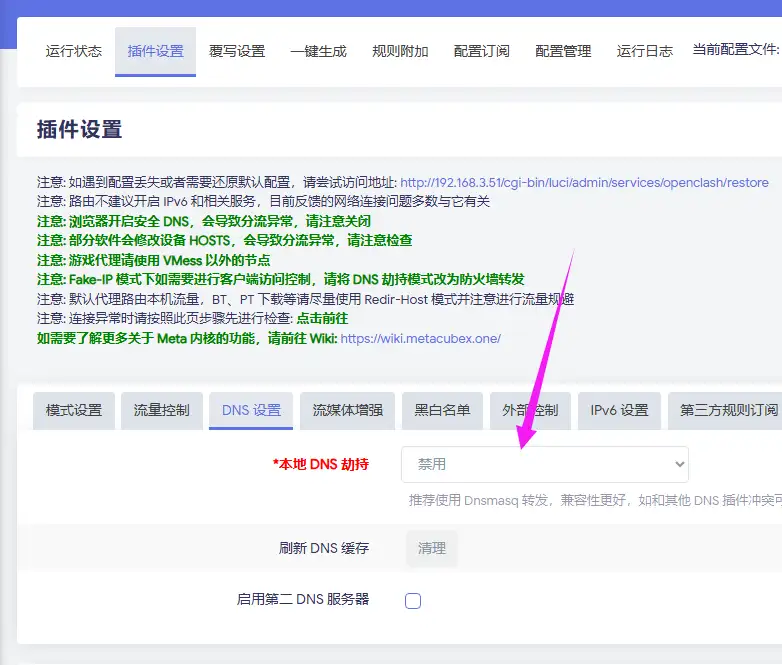 2015-双DNS的使用-小猫咪-01